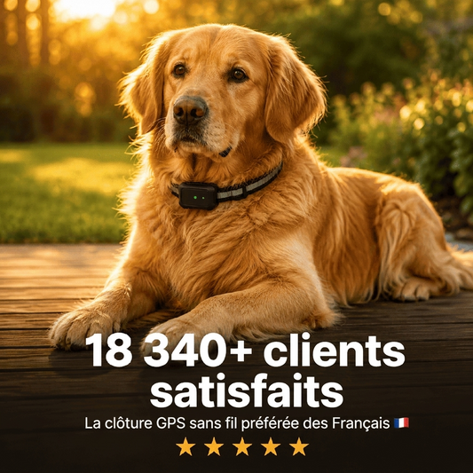 Sentinel — Gardez votre petit fugueur en sécurité à la maison