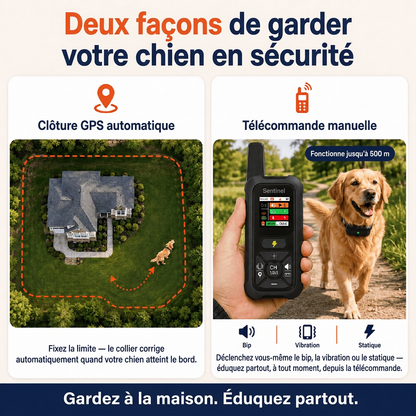 Sentinel — Gardez votre petit fugueur en sécurité à la maison