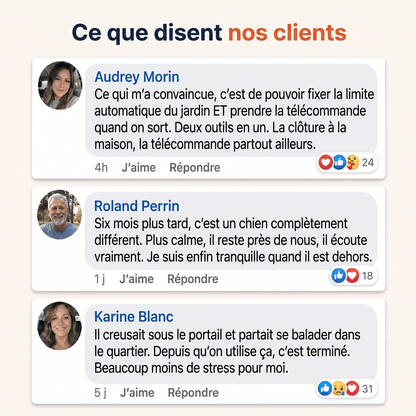 Sentinel — Gardez votre petit fugueur en sécurité à la maison