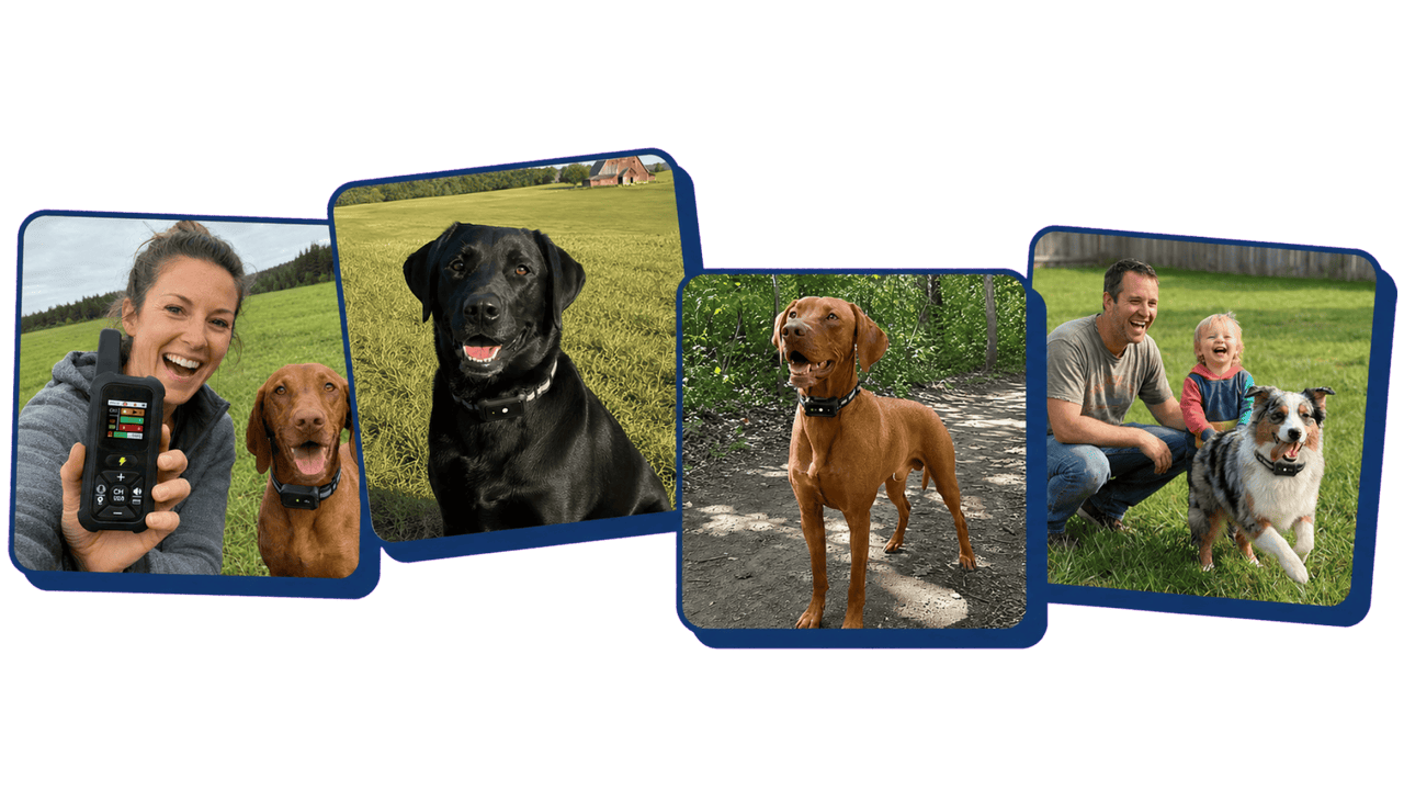 Clients Sentinel heureux avec leurs chiens